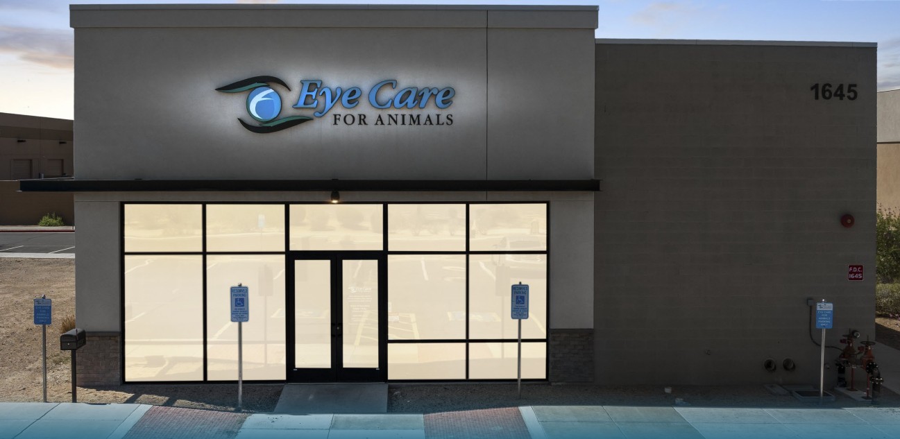 Eye Care For Animals Phoenix