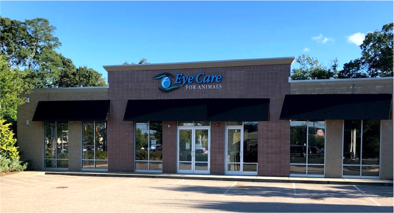 Eye Care For Animals Warwick